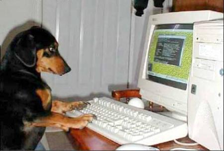 hta klab kichatiw hhhhhhhhhh